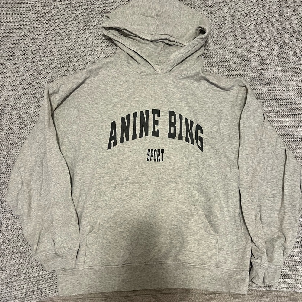 Anine Bing Sport Gray Hoodie